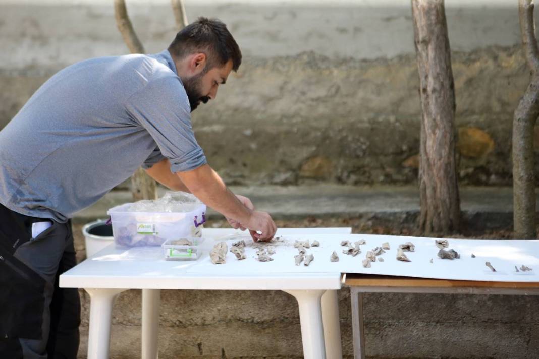 Çorum'da ilginç kazı! Hititler neler yiyormuş öyle... Kaplumbağadan domuza... 14